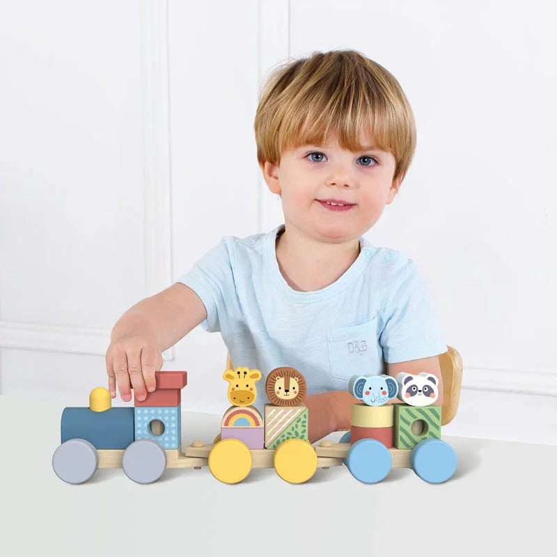 Juguetes Montessori